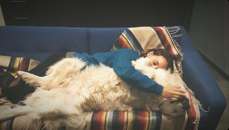 Schauspielerin Natalie Portman und ihr Hund Sunday machen kein "Social Distancing", sondern kuscheln die Coronakrise aus. Schauspielerin Natalie Portman und ihr Hund Sunday machen kein "Social Distancing", sondern kuscheln die Coronakrise aus.