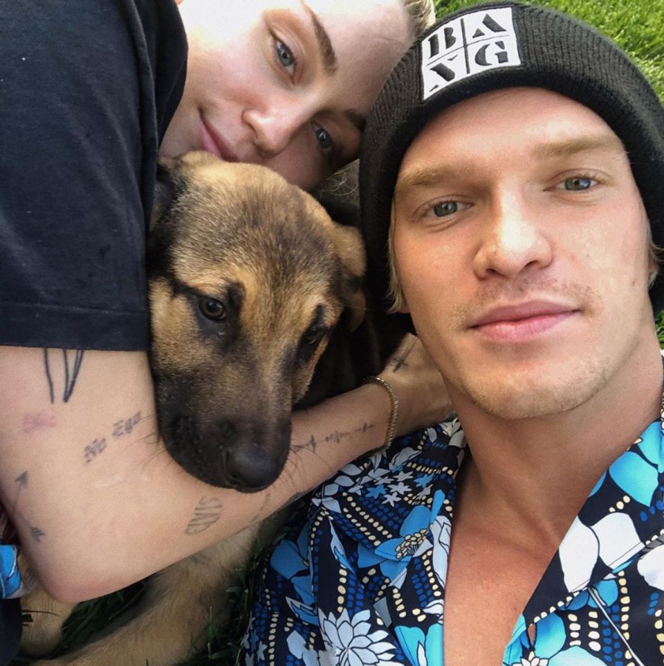 Popstar Miley Cyrus und Cody Simpson haben zusammen einen Hund adoptiert. Das tierische "Baby" besiegelt somit das Liebesglück des Paares. Popstar Miley Cyrus und Cody Simpson haben zusammen einen Hund adoptiert. Das tierische "Baby" besiegelt somit das Liebesglück des Paares.