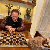 Irgendwie muss man die Zeit ja herumkriegen. Arnold Schwarzenegger gibt ein Update zu seinem Mini-Esel Lulu. Auf Instagram gibt er zu: "Sie ist nicht die beste Schachpartnerin, aber sie macht sich".