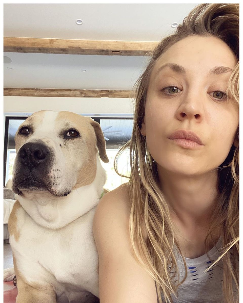 Kayley Cuoco teilt dieses Foto aus ihrer Corona-Quarantäne mit ihren Instagram-Followern. "Das ist Normans Gesicht nachdem ich ihm erzählte, dass wir eine Weile im Haus bleiben werden... oh, und das ist kein Schal, den er trägt, das ist sein Hals. Er fragt sich wahrscheinlich auch, wann ich mir das letzte Mal die Haare gewaschen habe". Kayley Cuoco teilt dieses Foto aus ihrer Corona-Quarantäne mit ihren Instagram-Followern. "Das ist Normans Gesicht nachdem ich ihm erzählte, dass wir eine Weile im Haus bleiben werden... oh, und das ist kein Schal, den er trägt, das ist sein Hals. Er fragt sich wahrscheinlich auch, wann ich mir das letzte Mal die Haare gewaschen habe".