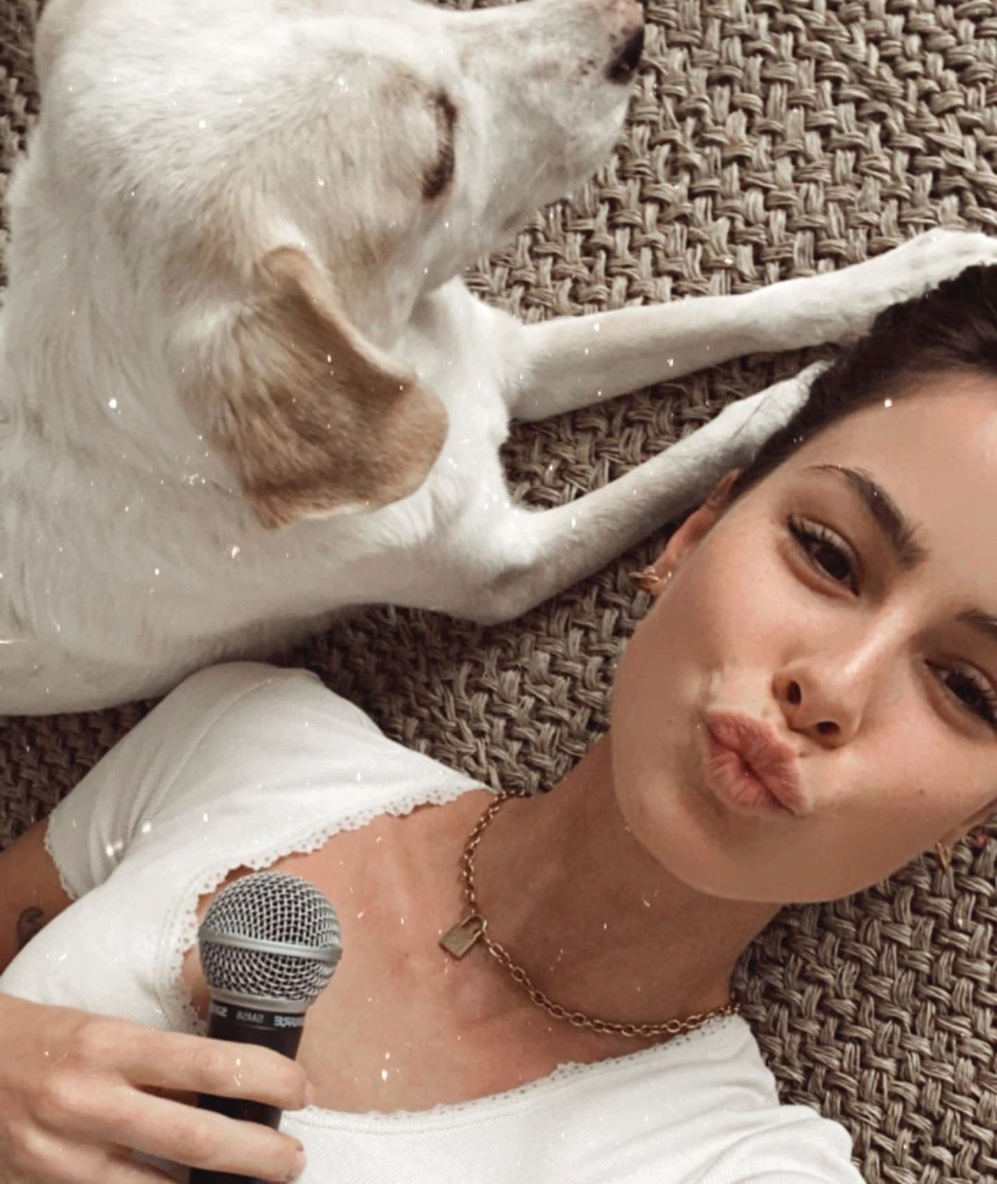 Hollywuff: Stars sind auf den Hund gekommen | GALA.de