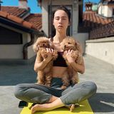 Morgendliches Yoga in der Sonne auf dem Dach ist für Aurora Ramazzotti die perfekte Gelegenheit, den Quarantäne-Stress zu vergessen. Und wenn dann auch noch die Teacup-Pudel Lilly und Leone dabei sind, kann das nur ein schöner Tag werden.
