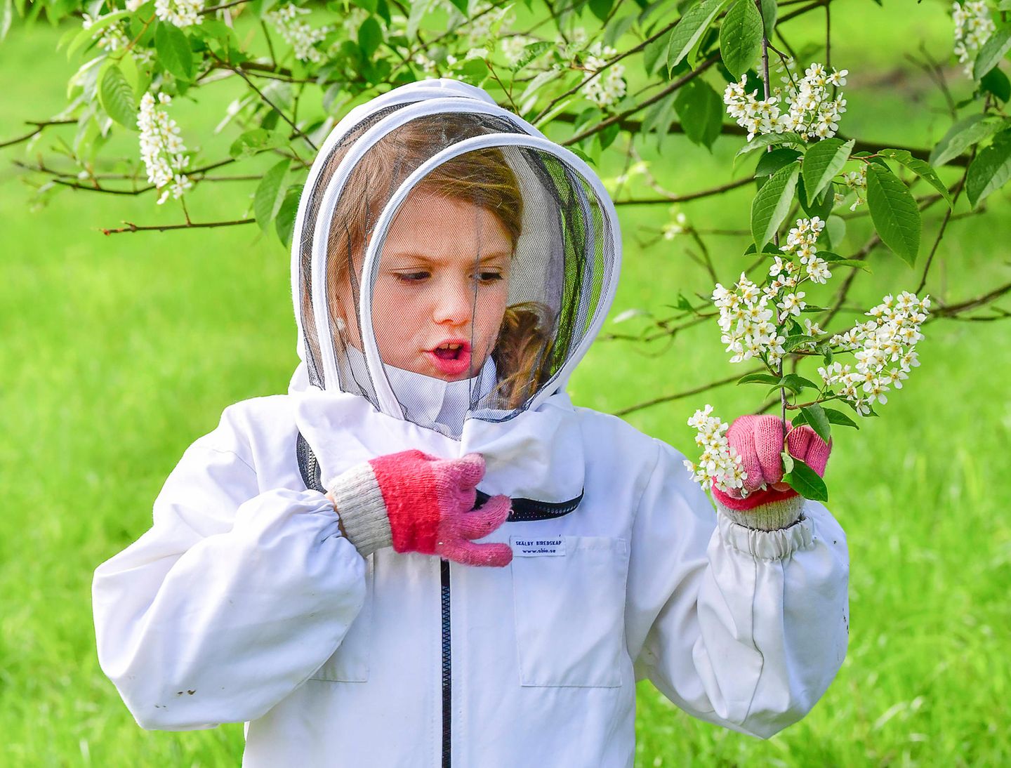 Ob auch genug Blüten für die Bienen da sind, überprüft Prinzessin Estelle auch gleich.