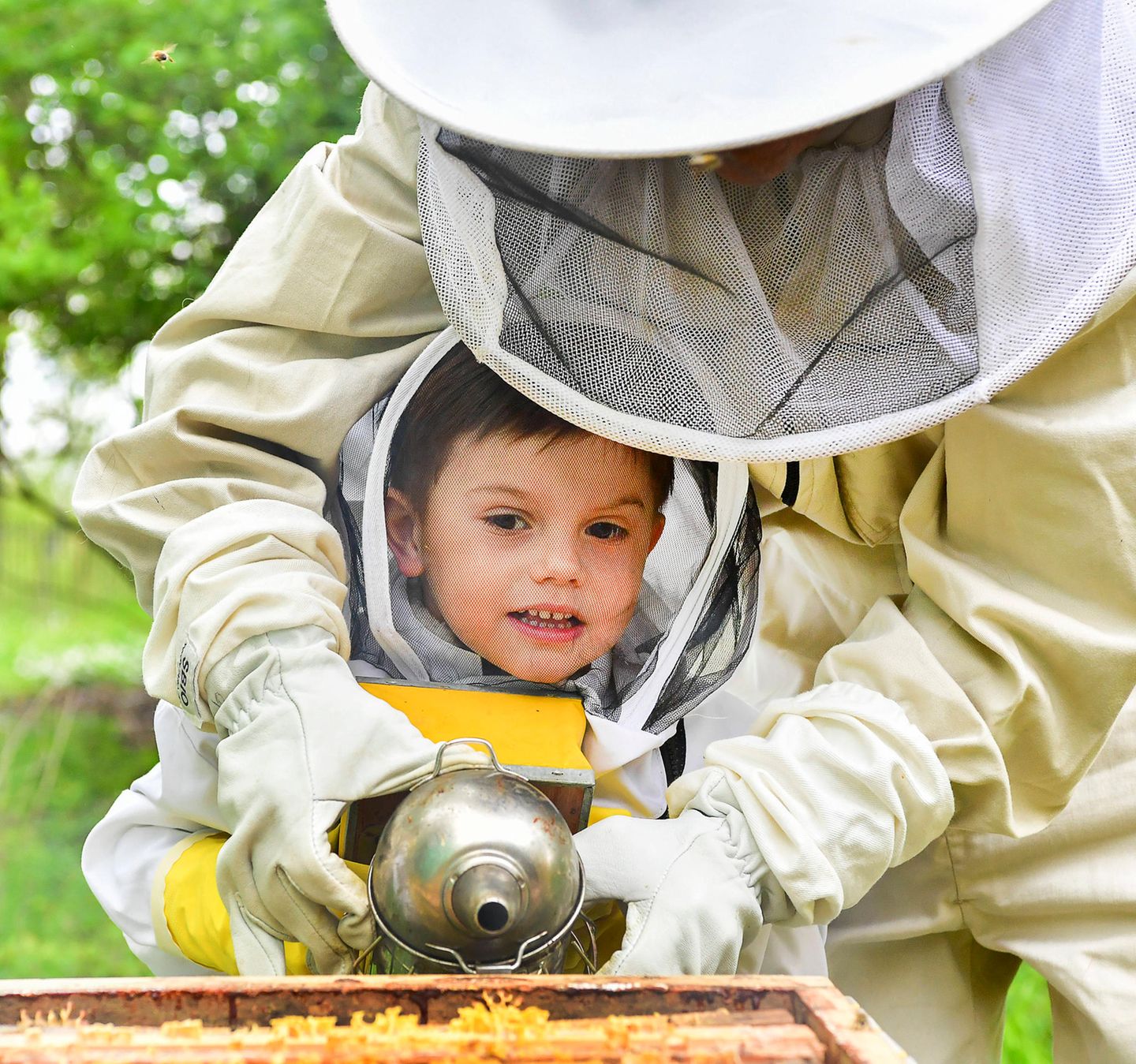 Ein bisschen Hilfe braucht Prinz Oscar aber noch von Mama Victoria. Dann klappt das auch mit dem Beruhigen der Bienen.