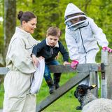 20. Mai 2020  Nach ihrem Besuch bei den Bienen statten Prinzessin Victoria und die Kids auch den Schafen im Park von Schloss Haga einen kleinen Besuch ab. Wagemutig klettern Prinz Oscar und Prinzessin Estelle in Begleitung von Mama über den Zaun auf die Weide.