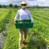 Hugh Jackman packt als freiwilliger Erntehelfer auf der "Share The Harvest Farm" mit an. Die Organisation hilft bedürftige Familien des Long Island East End mit Nahrungsmitteln zu versorgen. 