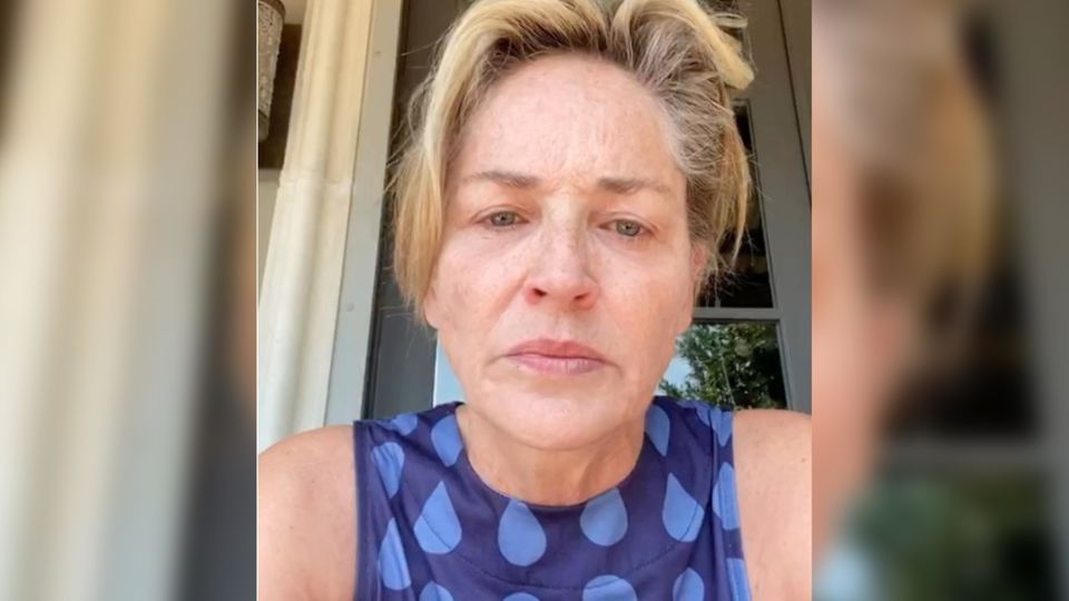 Sharon Stone: Wut auf Trump Sharon Stone: Wut auf Trump