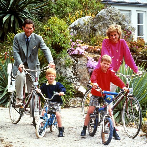 Prinz Charles, Prinz Harry, Prinz William und Prinzessin Diana
