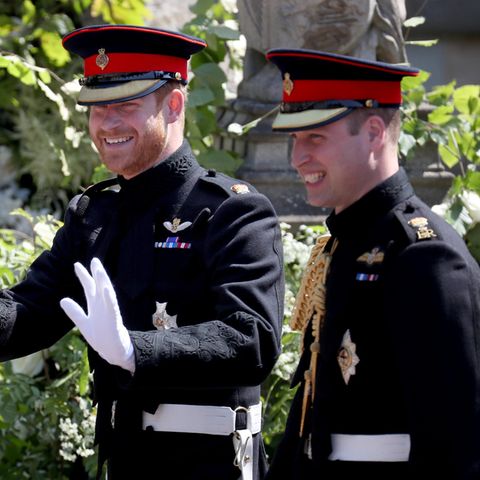 Prinz Harry und Prinz William