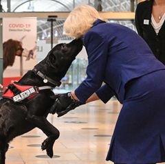 Bei ihrem Besuch der "British Transport Police" und "Network Rail" am Bahnhof Paddington, bekommt Herzogin Camilla von diesem "Medical Detection Dog" einen feuchten Begrüßungskuss. 