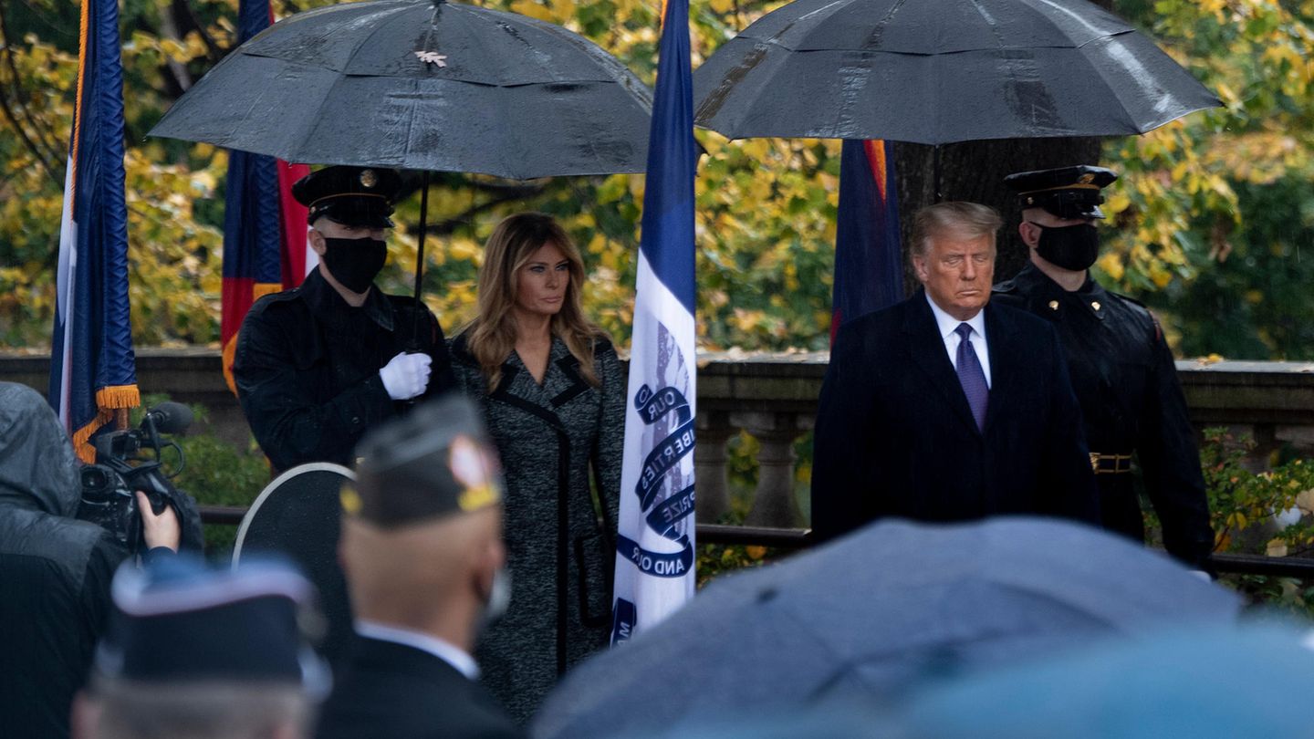 Melania Trump visual data 6