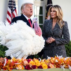24. November 2020  Im Garten des Weißen Hauses begnadigt US-Präsident Donald Trump gemeinsam mit Ehefrau Melania Trump in einer traditionellen Zeremonie zwei Truthähne. "Corn" und "Cob" werden in diesem Jahr kurz vor dem amerikanischen Thanksgiving-Fest vor dem Tod verschont. 
