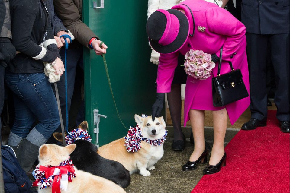 Queen Elizabeth ist eine große Hundenärrin