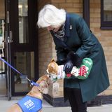 Anlässlich der Eröffnung eines neuen Hundezwingers besucht Herzogin Camilla das Tierheim "Battersea Cats and Dogs Home" westlich von London. Dort soll sie eigentlich als Schirmherrin eine Gedenktafel enthüllen - doch das läuft anders als geplant ...