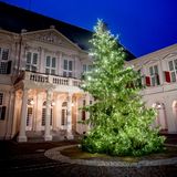 2. Dezember 2020  Der Weihnachtsbaum vor dem Noordeinde Palast in Den Haag erstrahlt in voller Pracht. 