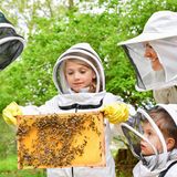 Zusammen mit der Bienenhüterin Lotta Fabricius Kristiansen überprüft Prinzessin Victoria mit ihren Kindern Prinzessin Estelle und Prinz Oscar die Bienenstöcke im Garten von Schloss Haga. Probiert wird der Honig natürlich auch. 