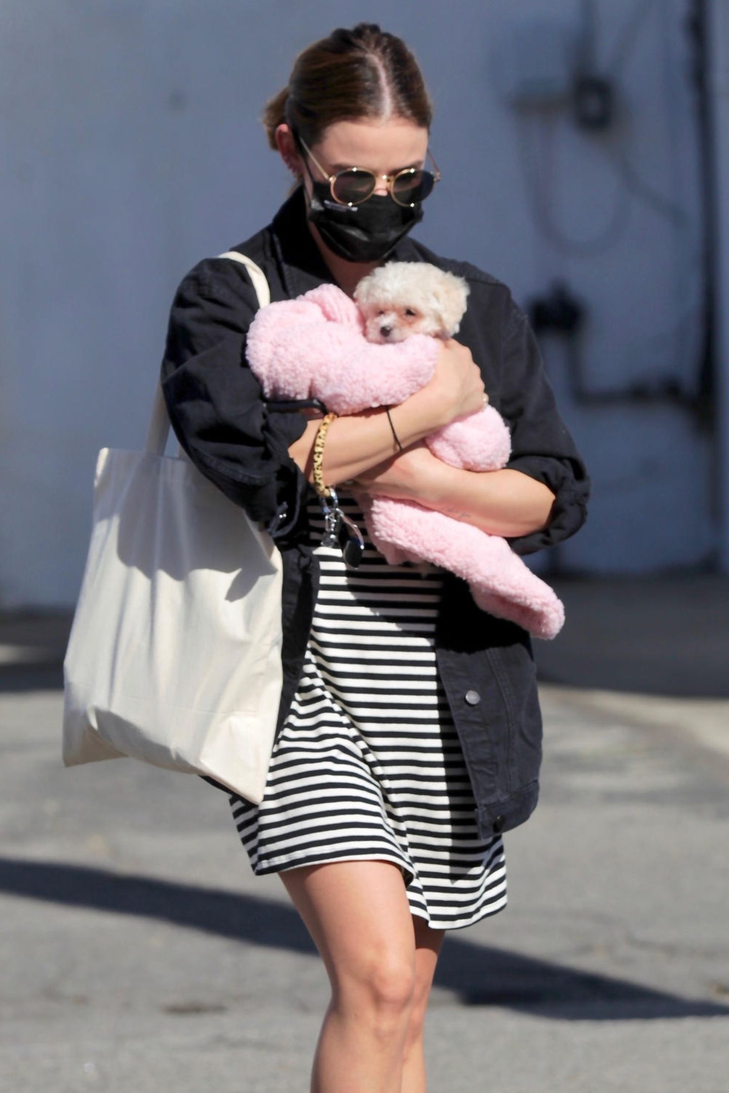 Hollywuff Stars Sind Auf Den Hund Gekommen Gala De