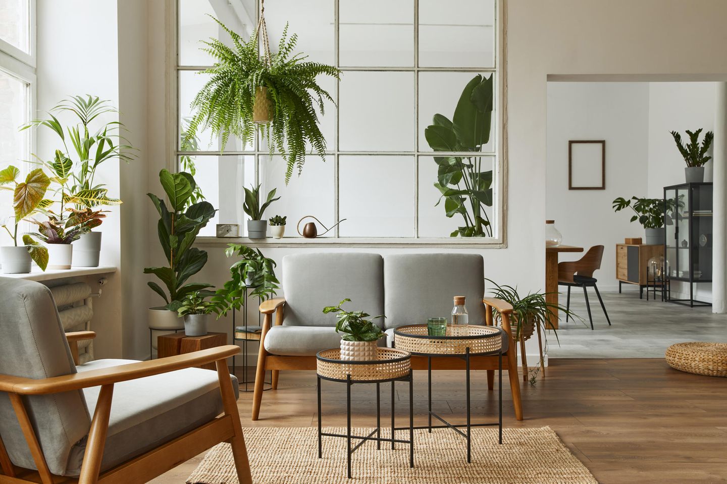 Wohnzimmer mit Pflanzen, Zimmerpflanzen, Urban Jungle