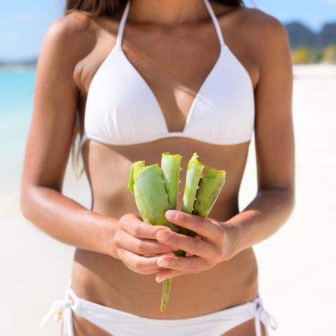 Aloe-vera-Gel: Anwendung und Wirkung der besten Produkte; junge Frau am Strand mit Aloe vera in der Hand