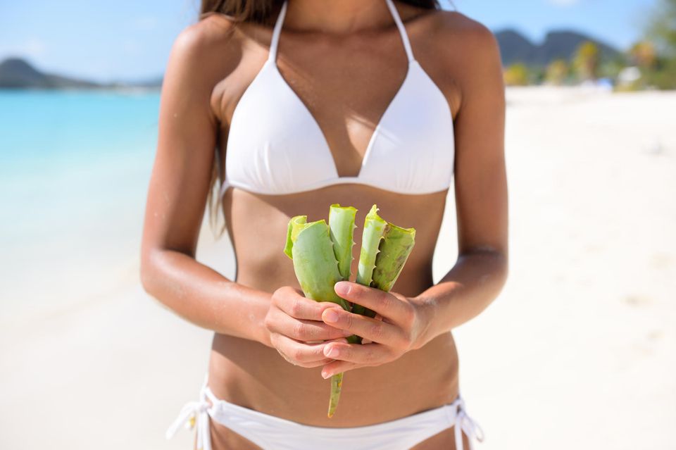 Aloe-vera-Gel: Anwendung und Wirkung der besten Produkte; junge Frau am Strand mit Aloe vera in der Hand