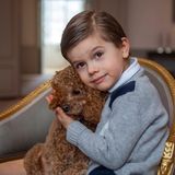 2. März 2021  Grattis! Der kleine Prinz Oscar feiert schon seinen 5. Geburtstag, und zu diesem Anlass gibt es schöne neue Fotos aus dem schwedischen Königshaus. Hier kuschelt er mit dem Familienliebling Rio.