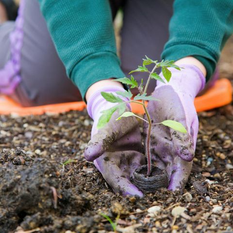 Wer seinen Garten schon im März pflegt, hat das restliche Jahr mehr von ihm.