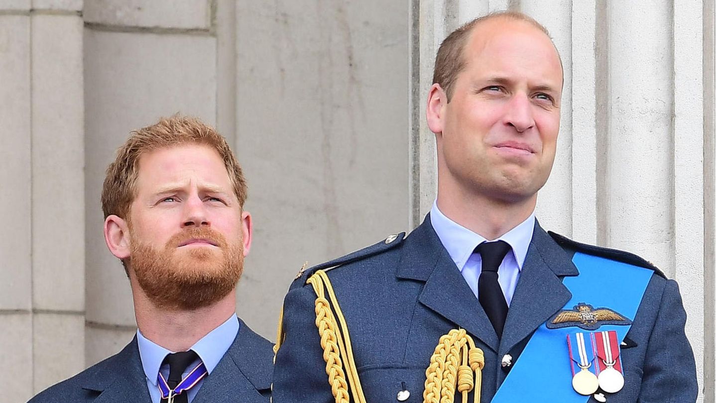 Prinz William Diese Gefahrlichen Satze Seines Bruders Harry Haben Viele Uberhort Gala De