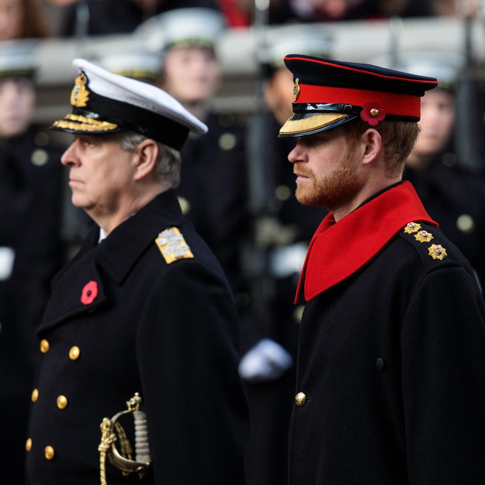 Prinz Andrew und Prinz Harry