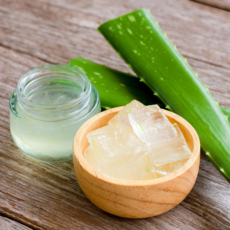 Aloe-Vera-Gel selber machen: Aloe Vera Gel in einer Schale