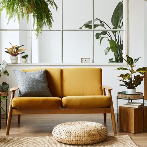 Wohnzimmer mit gelbem Sofa und Grünpflanzen