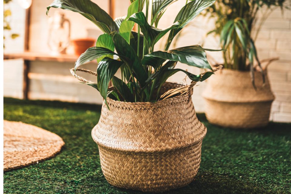 Balkon gestalten: Die schönsten Tipps und Inspirationen zum Wohlfühlen Balkon gestalten: Die schönsten Tipps und Inspirationen zum Wohlfühlen