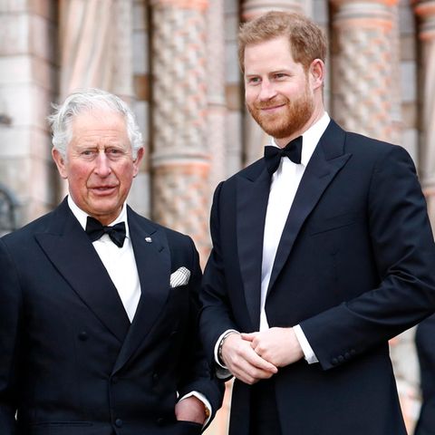Prinz Charles und Prinz Harry