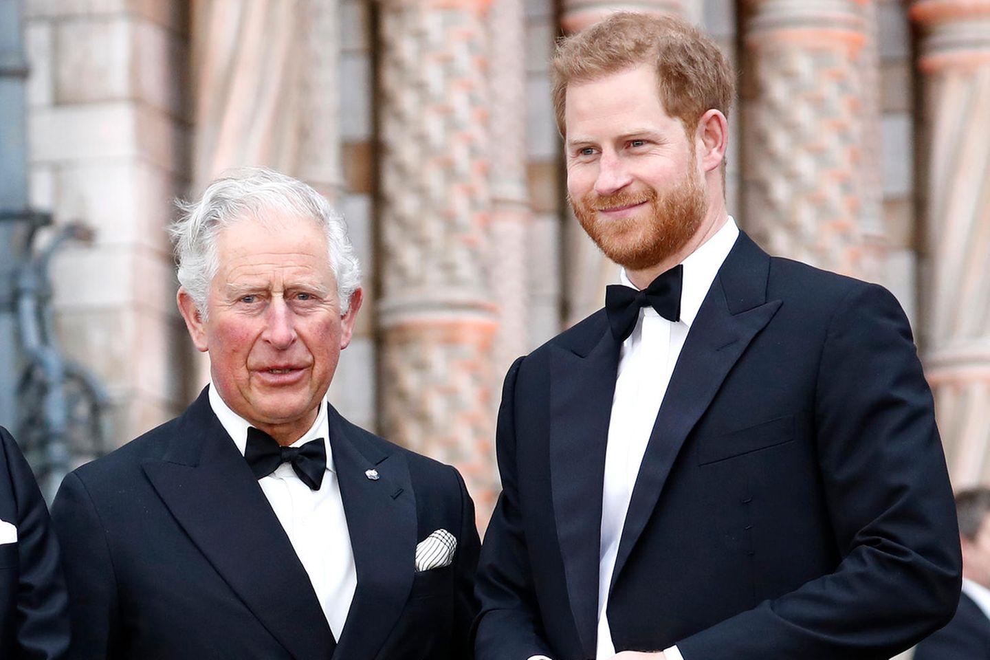 Prinz Charles und Prinz Harry bei der Weltpremiere von "Our Planet" in London am 4. April 2019