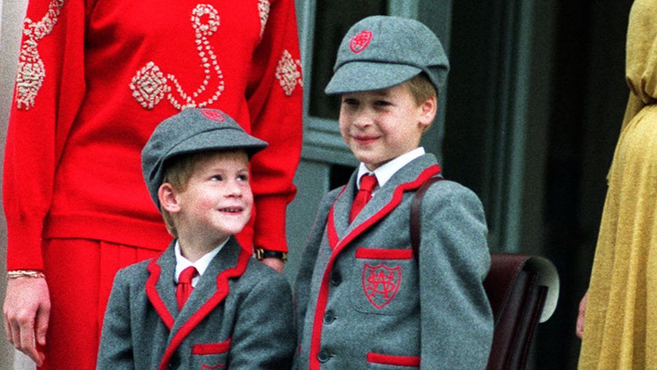 Prinzessin Diana, Prinz Harry und Prinz William 