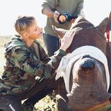10. Mai 2021  Ein Herz für Tiere: Fürstin Charlène hilft Tierschützern ein Nashorn zu versorgen. Das Bild wurde während ihrer Afrika-Reise im Rahmen einer Mission zum Schutz der Wildtiere in der Provinz KwaZulu Natal in Südafrika aufgenommen.
