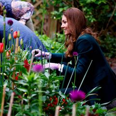 27. Mai 2021  An Tag sieben ihrer Schottlandreise stehen noch einige Termine für Herzogin Catherine und Prinz William auf dem Plan.  Unter anderem besuchen sie den Starbank Park in Edinburgh. Hier legt die Herzogin selbst Hand an und hilft beim bepflanzen der Beete.      