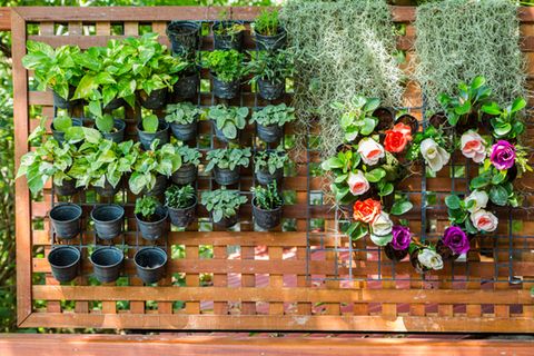 Vertikaler Garten für den Balkon Die 5 schönsten Ideen GALA.de