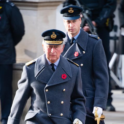 Prinz Charles und Prinz William