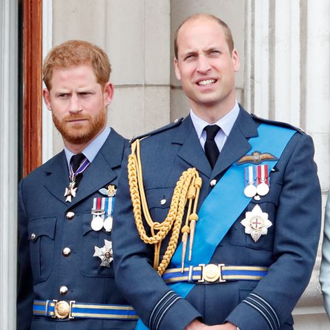 Prinz Harry und Prinz William