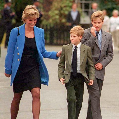 Prinzessin Diana, Prinz Harry und Prinz William.