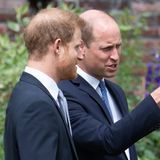 Das Treffen zwischen Prinz Harry und Prinz William wurde mit Spannung erwartet. Trotz aller Schlagzeilen und Diskrepanzen erscheinen sie Seite an Seite, um ihrer Mutter die Ehre zu erweisen.