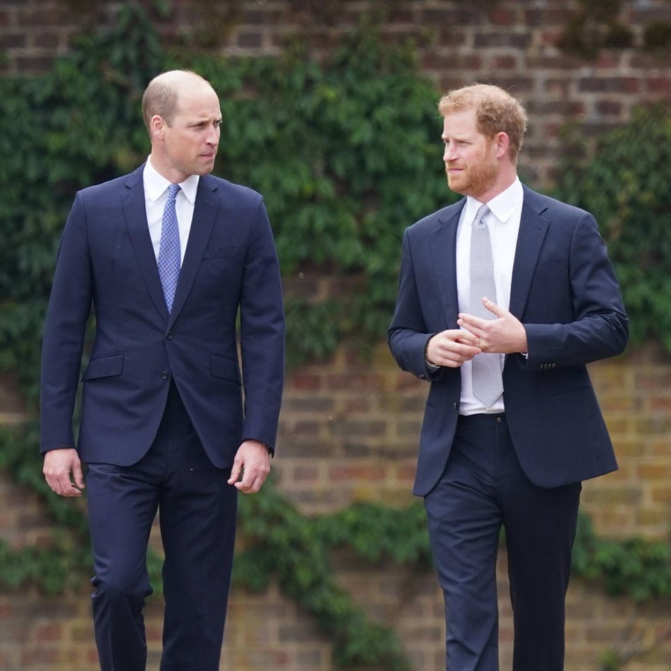 Prinz William und Prinz Harry