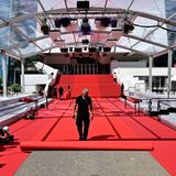 Mit Spannung werden die vielen tollen Red-Carpet-Looks erwartet, die in den nächsten Tagen über den berühmten "Tapis rouge", den roten Teppich vor dem Festivalhaus schreiten werden.