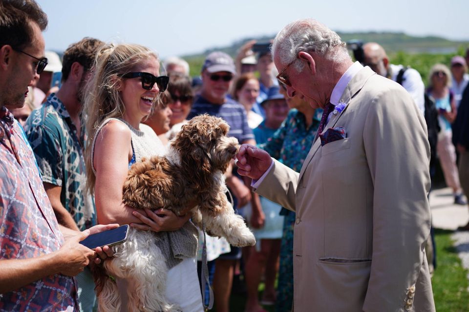 Nach ihrem Ausflug zur Five Islands Academy geht es für Prinz Charles und Camilla weiter auf die Insel Bryher. Hier wird Charles besonders herzlich von einem flauschigen Vierbeiner willkommen geheißen. Nach ihrem Ausflug zur Five Islands Academy geht es für Prinz Charles und Camilla weiter auf die Insel Bryher. Hier wird Charles besonders herzlich von einem flauschigen Vierbeiner willkommen geheißen.