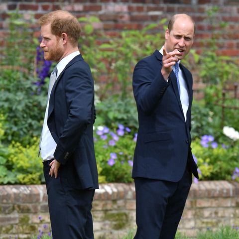 Prinz Harry und Prinz William