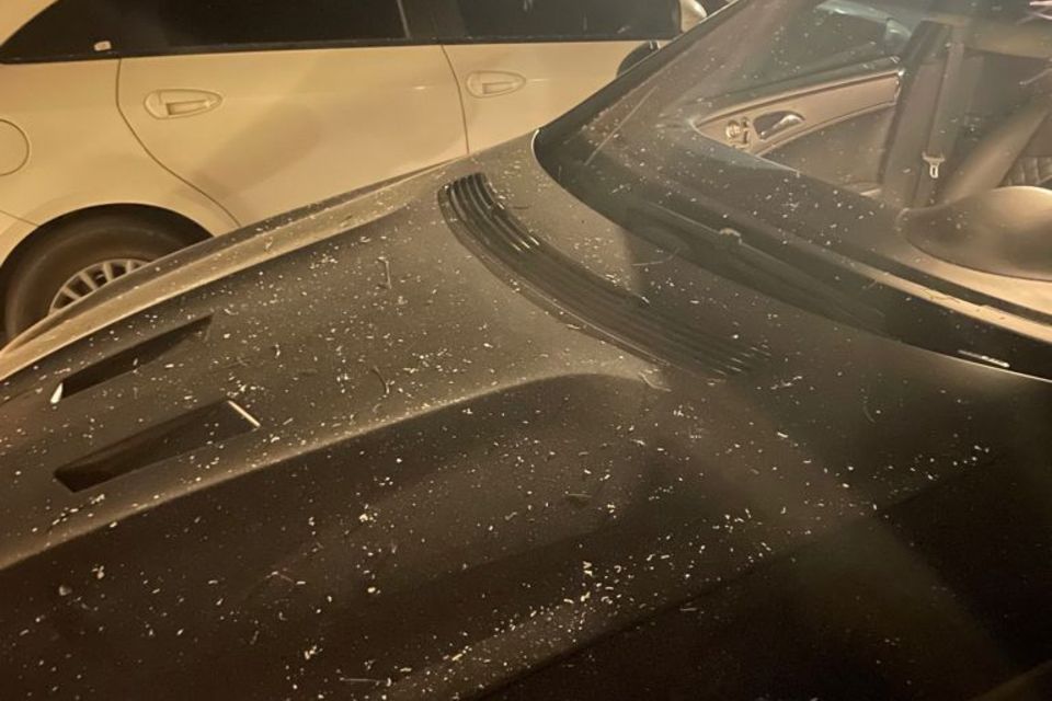Nathalie Volk: Auf dem Auto von Miranda findet sich Asche von den Bränden Auf dem Auto von Miranda findet sich Asche von den Bränden