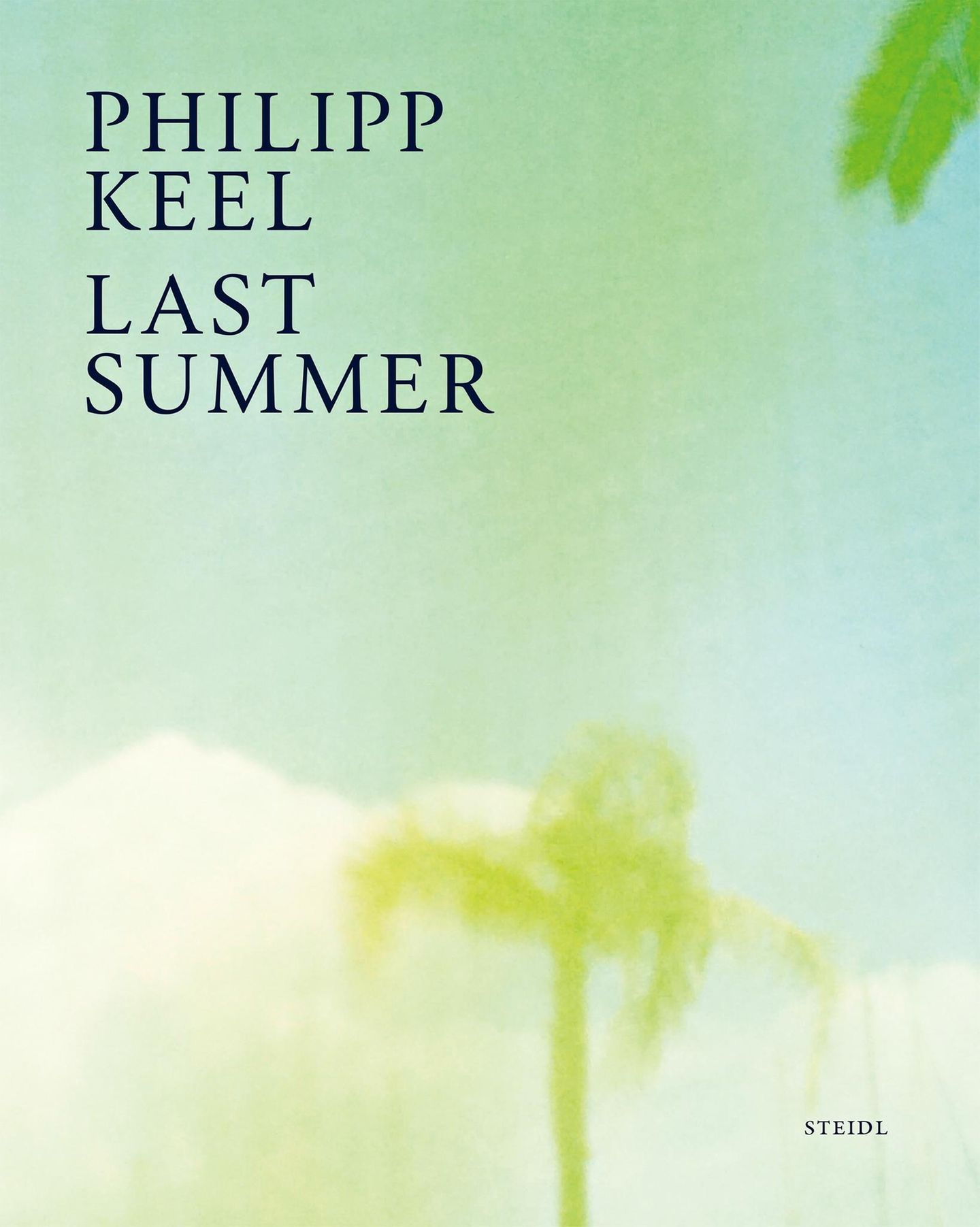 Buchtipps der Redaktion: Buchcover "Last Summer"