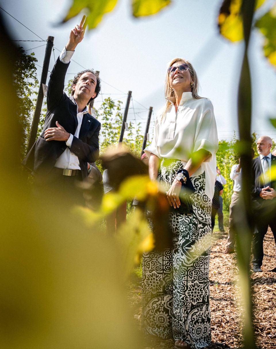 RTK: Königin Máxima bei der Hopfenernte RTK: Königin Máxima bei der Hopfenernte