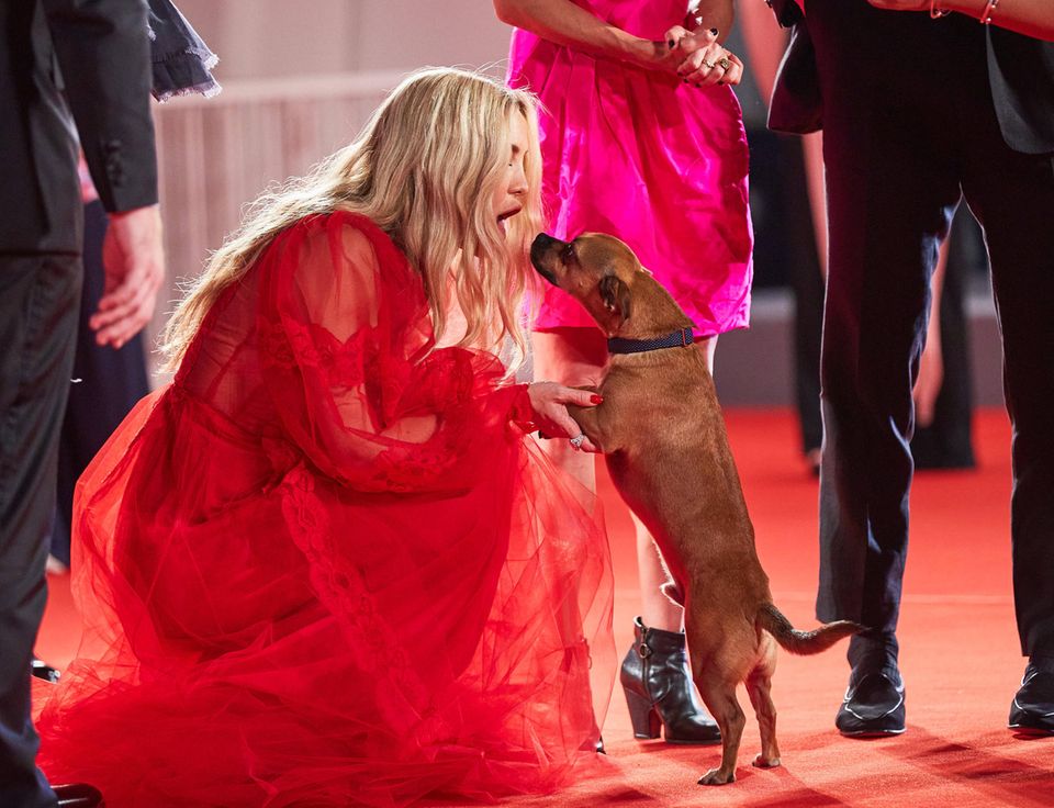 Hollywuff: Kate Hudson mit Hund Benny bei Filmpremiere Hollywuff: Kate Hudson mit Hund Benny bei Filmpremiere