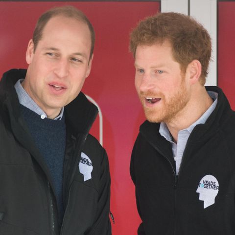 Prinz William + Prinz Harry: Für BBC-Dokumentation arbeiten sie zusammen